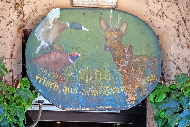 Datei:Theresienstraße 26a Willomitzer 4.jpg