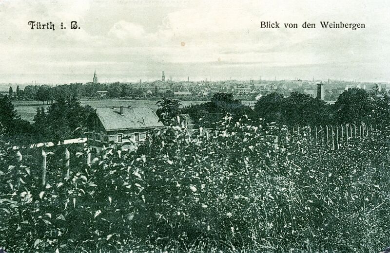 Datei:Weinberg 1915.jpg