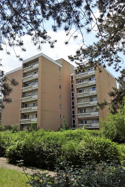 Datei:Friedenstraße 2020.6.jpg