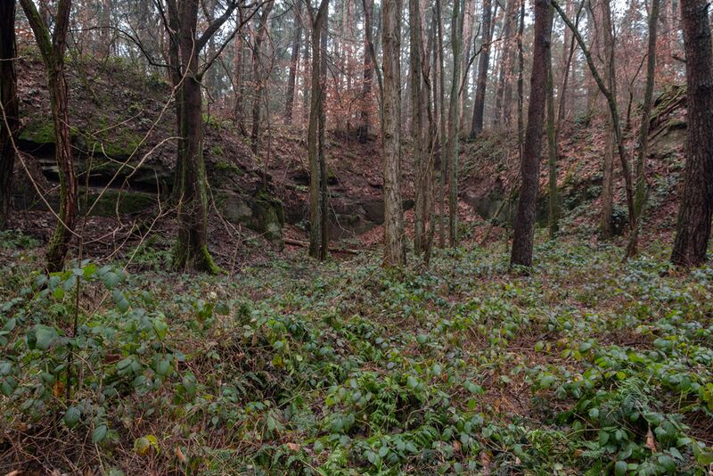 Datei:2022 Steinbruch am Krummweg 04 .jpg