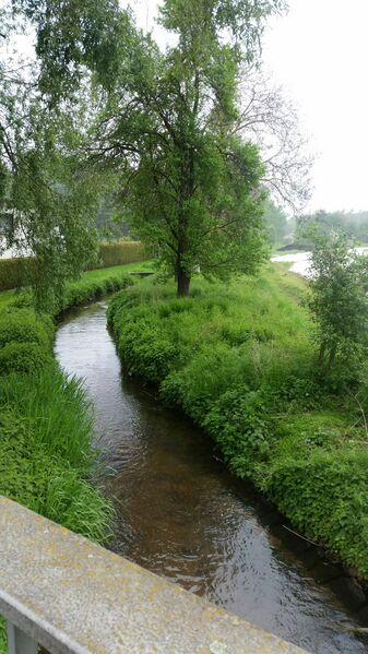 Datei:Bucher Landgraben (2).jpg