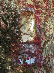 Standbild Luitpold (jetzt).jpg