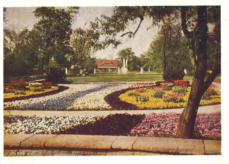 Datei:Postkarte Grünen und Blühen 9.jpg