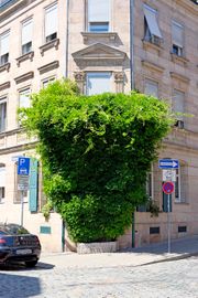 Theaterstraße 46 2.jpg