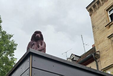 2025 07 09 Pavian Brezenstand Schwabacher Straße.jpg