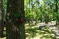 Grabanlage "Friedpark unter Bäumen", Mai 2020