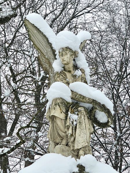 Datei:20260126 Hans-Schiller-Allee Winterstimmung.jpg