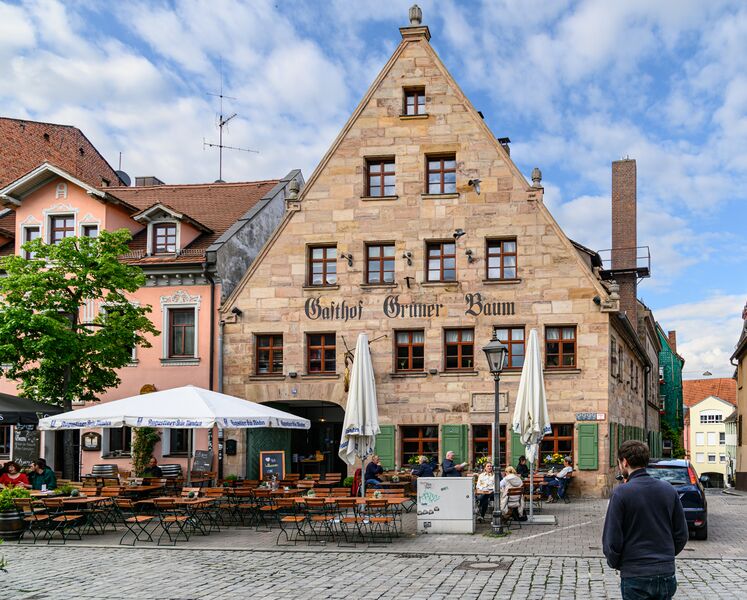 Datei:Grüner Baum 20230514.jpg