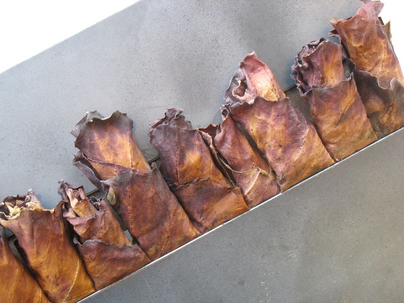 Datei:2006-10-22 11-32-42.jpg