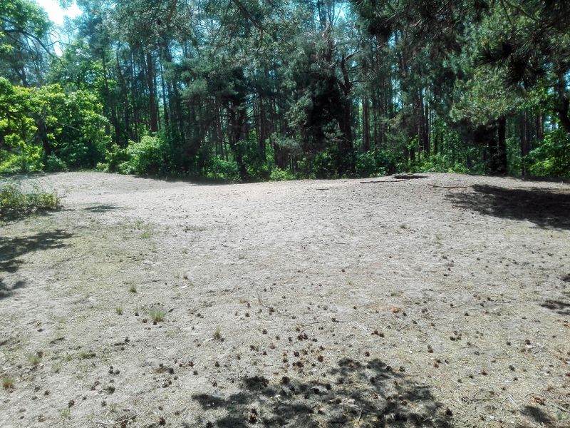 Datei:Wäsig 20200516 3.jpg