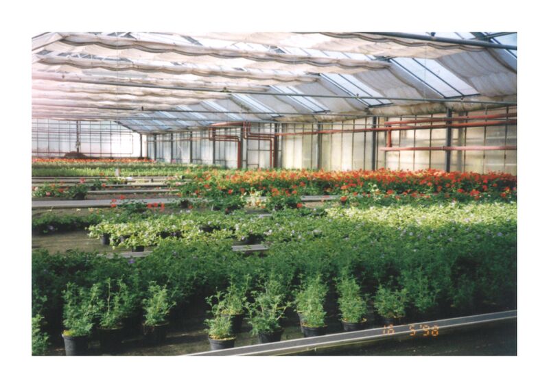 Datei:Gärtnerei Gumbmann 1998 a.jpg