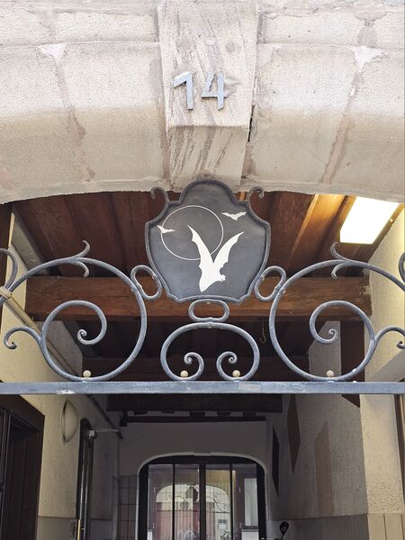 Datei:20260224 Alexander- 14.jpg