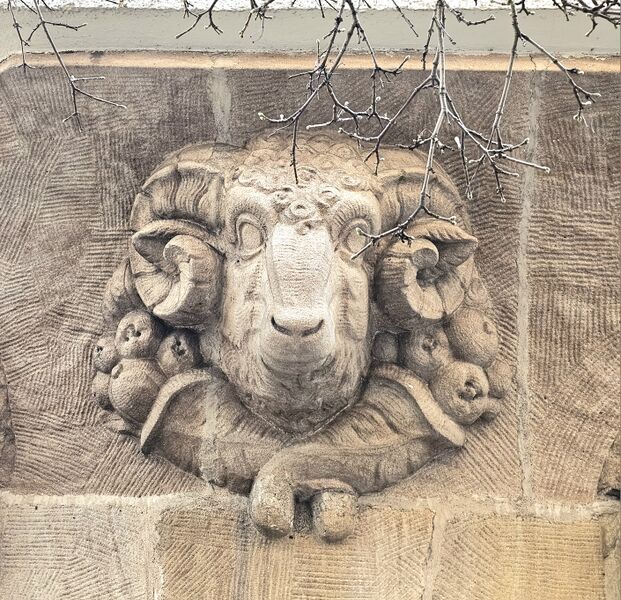 Datei:20260227 Theresien- 3742 Schaf.jpg