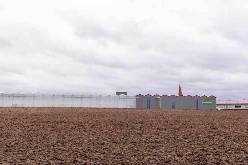 Datei:Gemüse Hofmann Poppenreuth Feb 2022.jpg