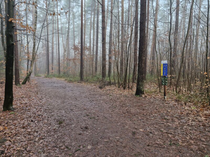 Datei:Vitaparcours station 05.jpg