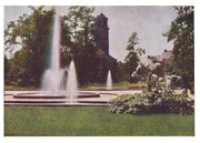 Postkarte Grünen und Blühen 10.jpg