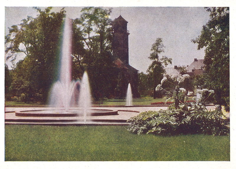 Datei:Postkarte Grünen und Blühen 10.jpg