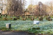 Ehrengrabfeld Friedhof Jan 2025.jpg