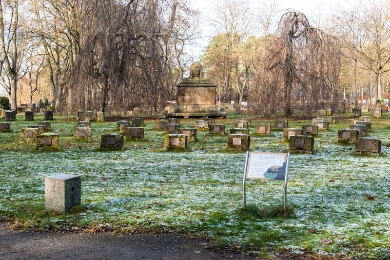 Datei:Ehrengrabfeld Friedhof Jan 2025.jpg