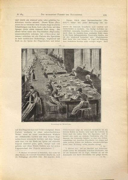 Datei:Ullmann 1893 5.jpg