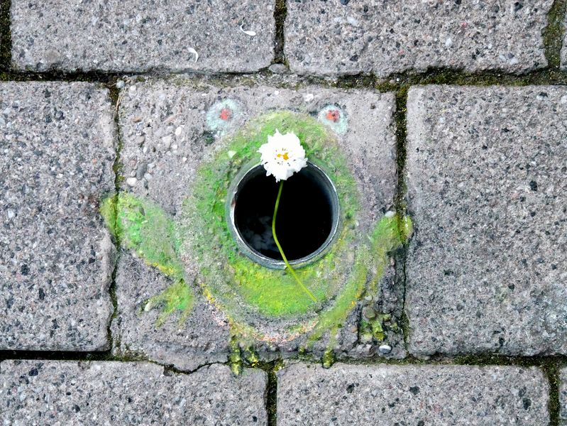 Datei:20190525 010653.jpg