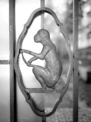 20251001 Affe sw Grundschule Frauenstraße 15 004.jpg