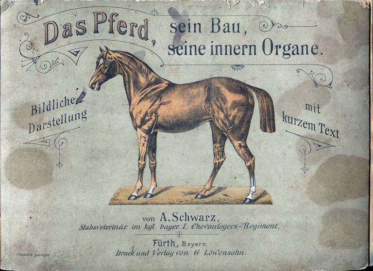 Das Pferd sein Bau seine inneren Organe (Buch).jpg