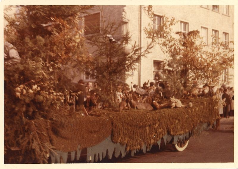 Datei:Erntedankfestzug 1955 (3).jpg