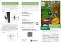 Info-Flyer: <i>Die Asiatische Tigermücke. Erkennen und bekämpfen!</i>, Sep. 2022