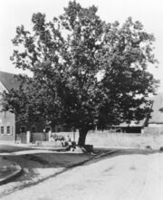 NL-FW 09 KP 446 Vacher Wasserbrunnen 1934.jpg