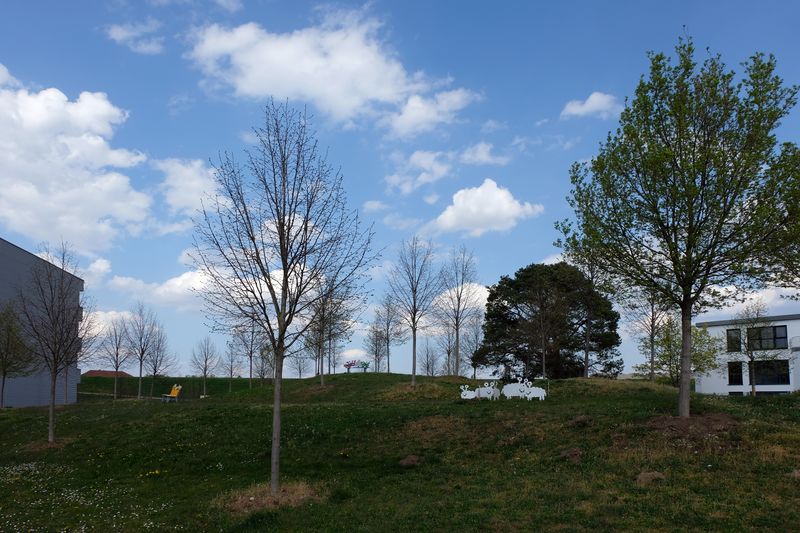 Datei:Complex April 2020 9.jpg