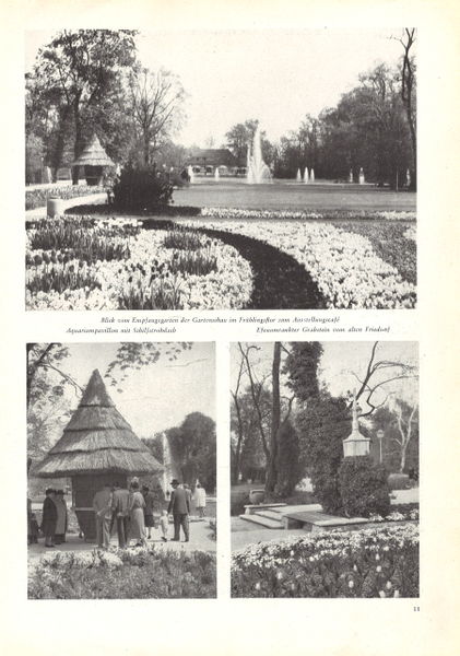 Datei:Garten und Landschaft 6 1951 S. 11.jpg