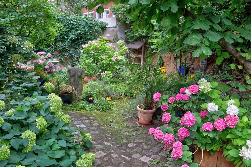 Datei:Karolinen 30.jpg