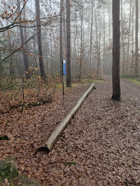 Datei:Vitaparcours station 10.jpg