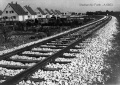 Gleis der Flugplatzbahn in den 1930er Jahren bei der 