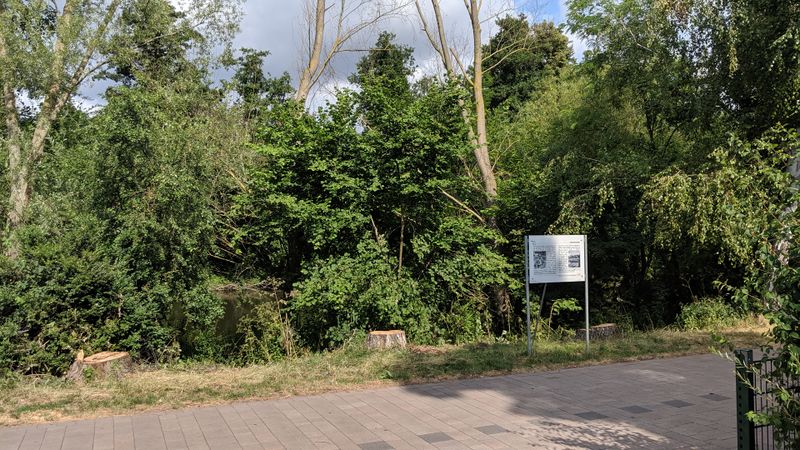 Datei:GedenktafelBenario190710 Baumstuempfe1.jpg