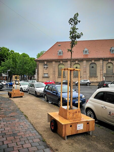 Datei:2022-06-24 Wanderbaumallee (2).jpg