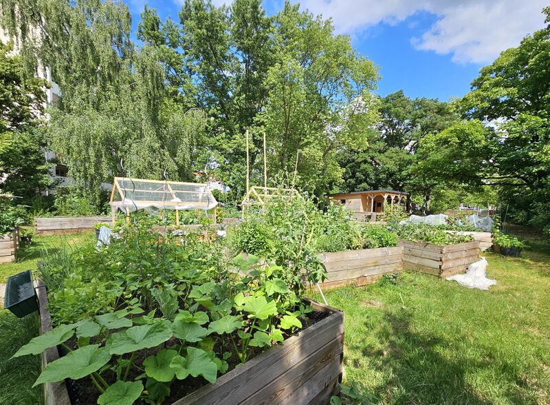 Datei:2025 06 16 22 31 Office Lens.jpg