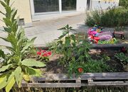 2025 06 23 Südstadt-Gärtla 2.jpg