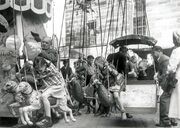 NL-FW 07 045 Alfons Dirscherl Kärwa 1949.jpg