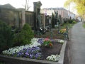 Gräberreihen im Norden des Fürther Hauptfriedhofs entlang der Mauer zur <!--LINK'" 0:82--> (Grabfeld M 3)