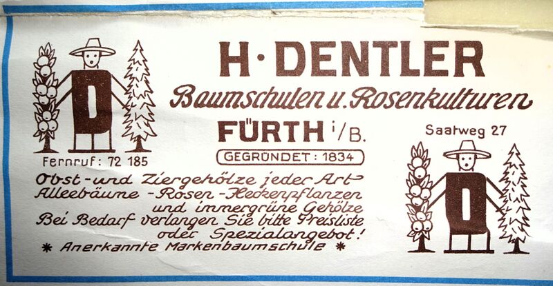 Datei:Werbung Dentler 1955.jpg
