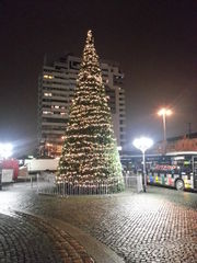 Weihnachtsbaum Bahnhofanlage.jpg