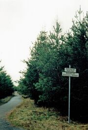 NL-FW 04 0671 Schaack Stadtwald 1991.jpg