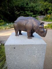 2023-09-15 Dürer Rhinocerus (1).jpg