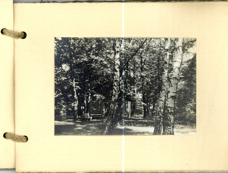 Datei:Grüner Park Blatt 11.jpg