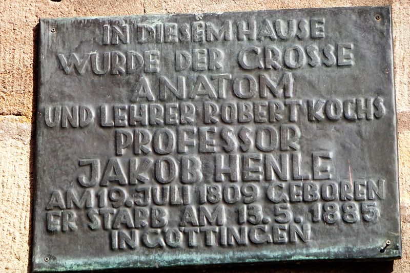 Datei:Helmstraße 9 Henle.jpg