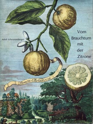 Vom Brauchtum mit der Zitrone (Buch).jpg