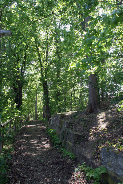 Datei:Grüner Park 8.jpg