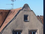 Weiße Rose mit 1652.JPG